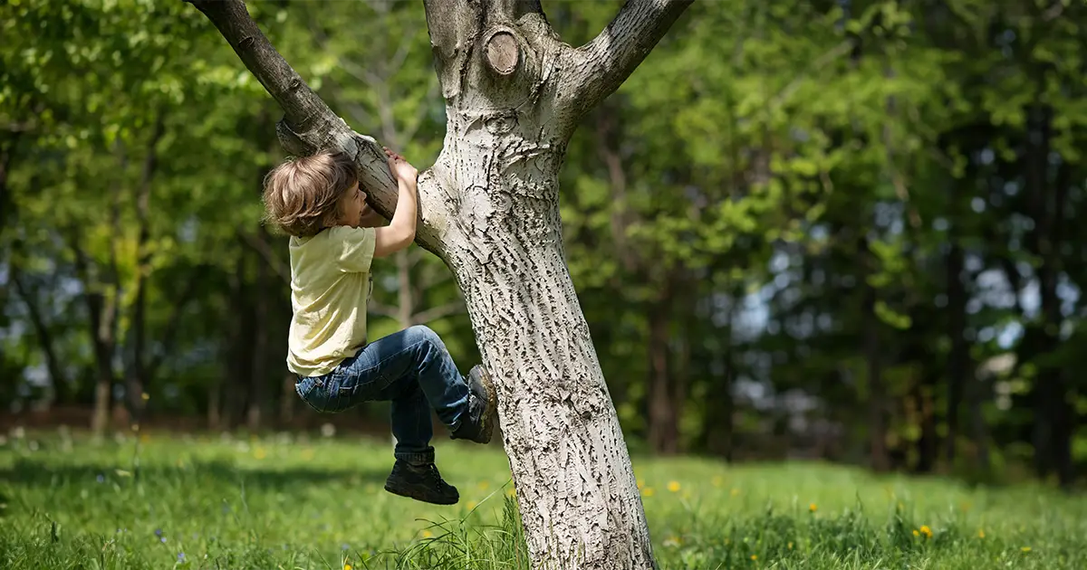 Prise de risque chez l'enfant : comment créer un environnement favorable au jeu libre ?